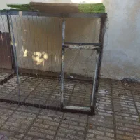 جا کفترو خروس مرغ