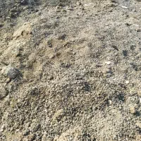 فروش کود حیوانی