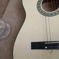 گیتار پرینس