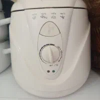 سرخ کن مینی
