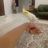 1600