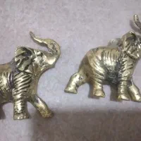 حراج ظروف|حراج|تالش, هشتپر|دیوار