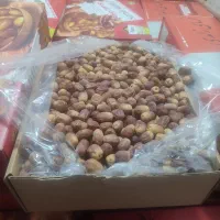 قصب یا زاهدی|عمدهفروشی|برازجان, |دیوار