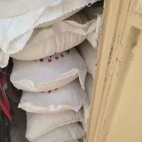 برنج هاشمی درجه یک لاهیجان