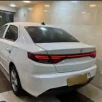 تارادستی پلاس