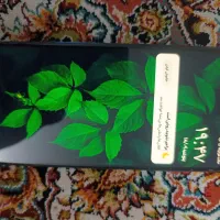 گوشی نوت 9 s