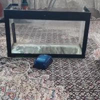 اکواریوم ماهی