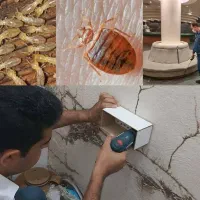 سمپاشی*موریانه زدایی*سم پاشی ساس سوسک موش عقرب مار