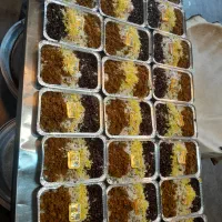 غذای پرسنلی ویژه شرکت ها|خدمات پذیرایی، مراسم|پردیس, فاز ۱|دیوار