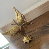 پروانه برنز