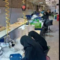 شرکت کالای روشنایی پاسوآ|استخدام صنعتی، فنی، مهندسی|کهریزک, |دیوار