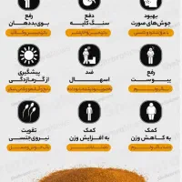 خاکشیر زرین تمیز|خوردنی و آشامیدنی|مشهد, شهرک مهر آباد|دیوار