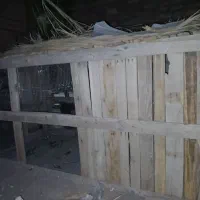 قفس بزرگ