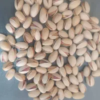 راهنمایی کنید