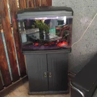 آکواریوم|ماهی|قم, الوندیه و گذر صادق|دیوار