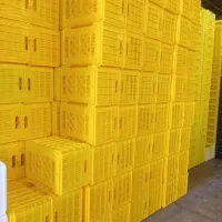 سبد حمال،خرما،گوجه،لبنیات،فلفل دلمه