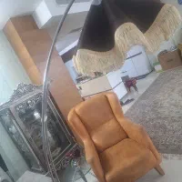 آباژور خانگی