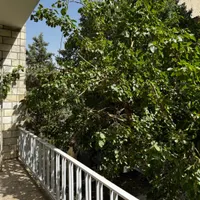 اجاره خانه ویلایی|اجارهٔ خانه و ویلا|تهران, مجیدیه|دیوار