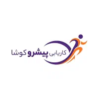 راننده با خودرو