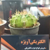 فروشنده لوازم الکتریکی