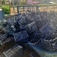 سبد میوه و گدان