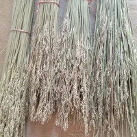 جارو محلی|لوازم نظافت|کازرون, |دیوار