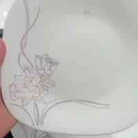 ظروف گل سرخ