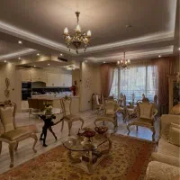 فروش آپارتمان۱۹۵مترزعفرانیه/دیدمشجر(قیمت اکازیون)