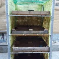 قفس مرغ چهار طبقه|لوازم جانبی حیوانات|اهواز, فاز ۱ پادادشهر|دیوار