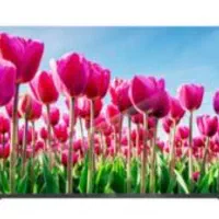 تلویزیون ۶۵ اینچ اسنوا