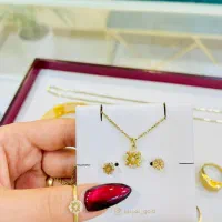 سکه تمام بانکی 500 تومان زیر تابلو|جواهرات|صدرا-فارس, فاز ۱|دیوار