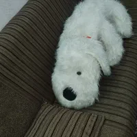 عروسک|اسباب‌بازی بچه|اندیشه, اندیشه فاز ۱|دیوار