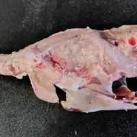 اسکلت گردن و چرخکرده اسکلت گردن جهت غذای سگ و گربه