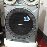 اسپیکربانددسته چمدانی چیپس درحدنوباکارتن