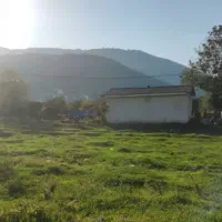 زمین داخل بافت  215 متر سند تک