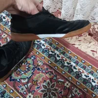 کفش سالن|کیف، کفش، کمربند|شاهین دژ, |دیوار