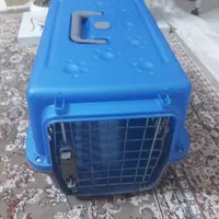 باکس سگ