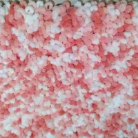 پادری ترک|پادری|کرج, ملک‌آباد|دیوار