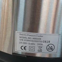 زودپز برقی DSP(ویترینی)اصل|اجاق گاز و لوازم برقی پخت‌وپز|تهران, امین حضور|دیوار