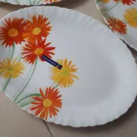 دیس ملامین نو|ظروف سرو و پذیرایی|شیراز, اصلاح‌نژاد|دیوار