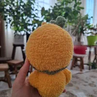 عروسک دست بافت جوجه|اسباب‌‌بازی|شیراز, ارم|دیوار