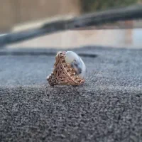 انگشتر شجر|جواهرات|جیرفت, |دیوار