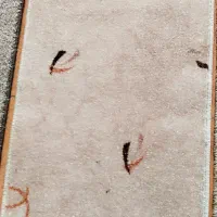 رها کرم بلور بژ رویال کرم مونترال کاراملی و..|موکت|یاسوج, |دیوار