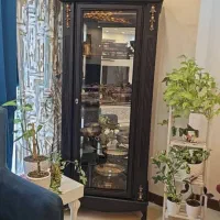 ویترین