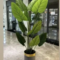 درختچه اریکا|گل مصنوعی|تهران, مشیریه|دیوار