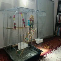 قفس بزرگ