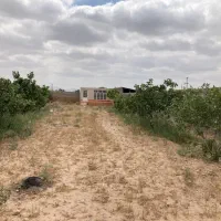 فرصت اسثتنایی خریدزمین درقائن
