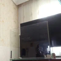 اکواریوم شیشه خم