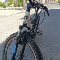 دوچرخه ویوا سناتور۱۳