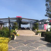 استخدام کافه رستوران